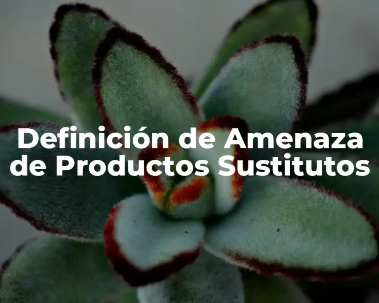 Definición de Amenaza de Productos Sustitutos