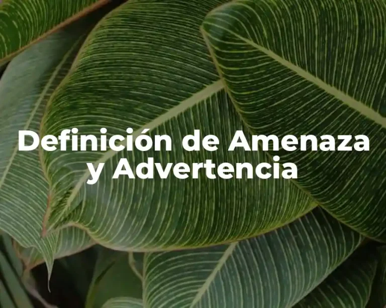 Definición de Amenaza y Advertencia