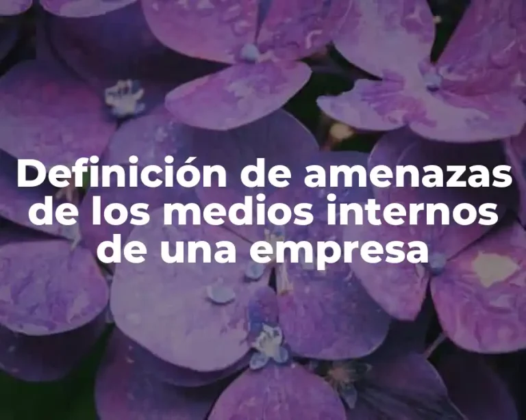 Definición de amenazas de los medios internos de una empresa