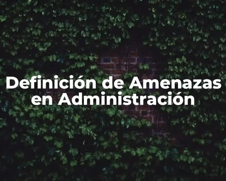 Definición de Amenazas en Administración