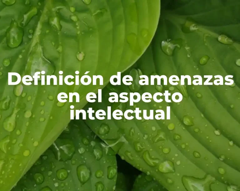 Definición de amenazas en el aspecto intelectual