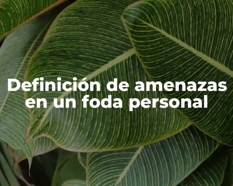 Definición de amenazas en un foda personal