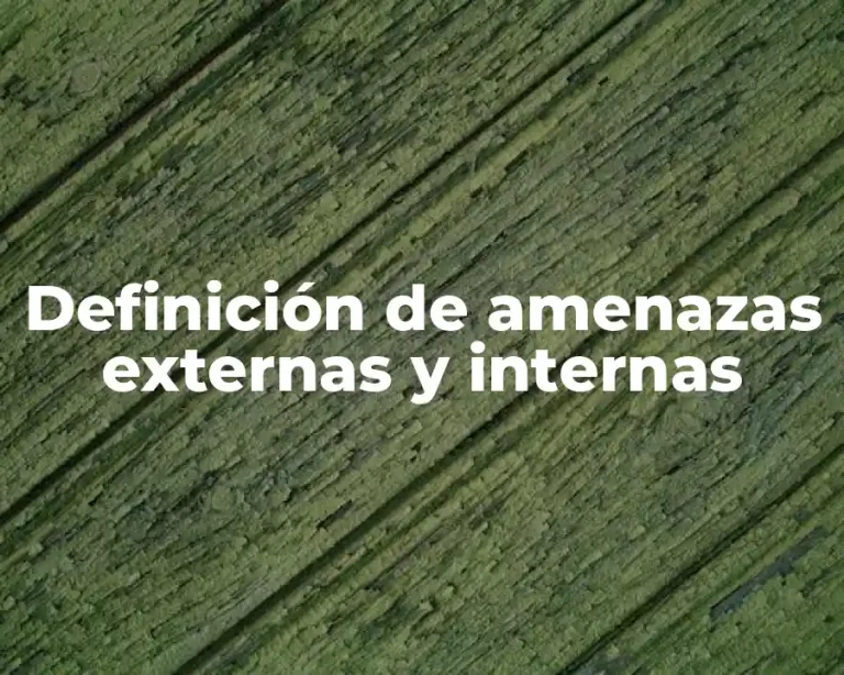 Definición de amenazas externas y internas