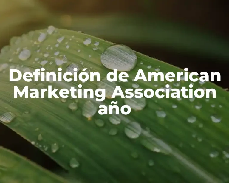Definición de American Marketing Association año