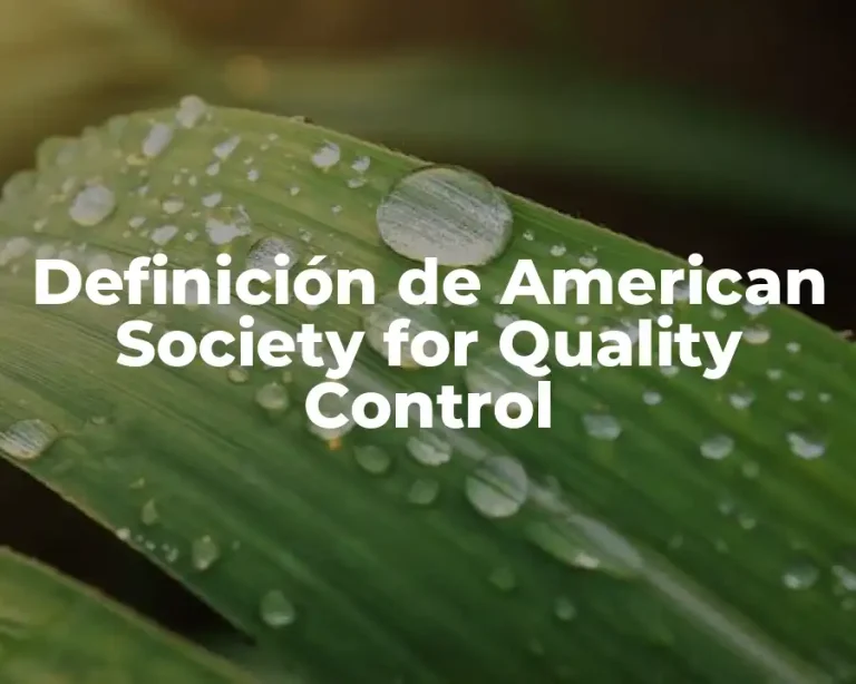 Definición de American Society for Quality Control