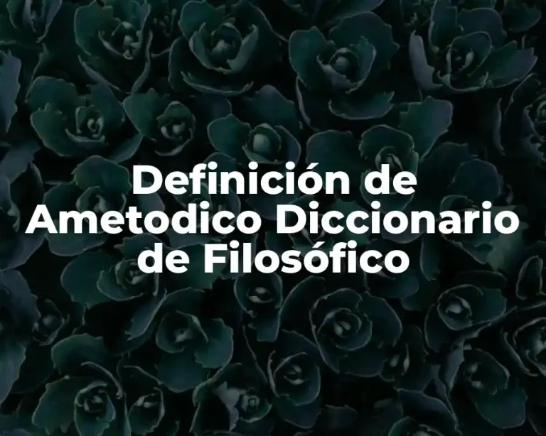 Definición de Ametodico Diccionario de Filosófico