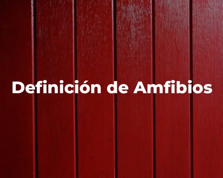 Definición de Amfibios