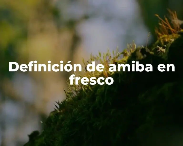Definición de amiba en fresco