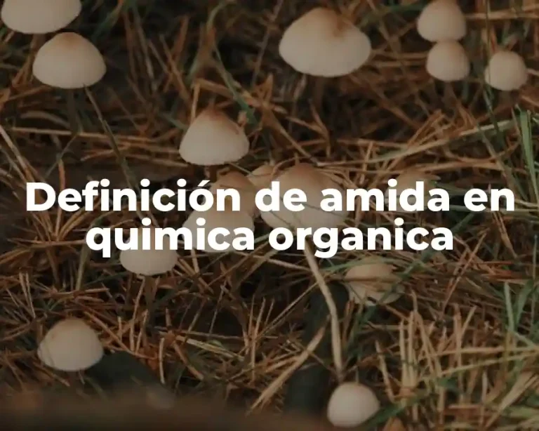 Definición de amida en quimica organica