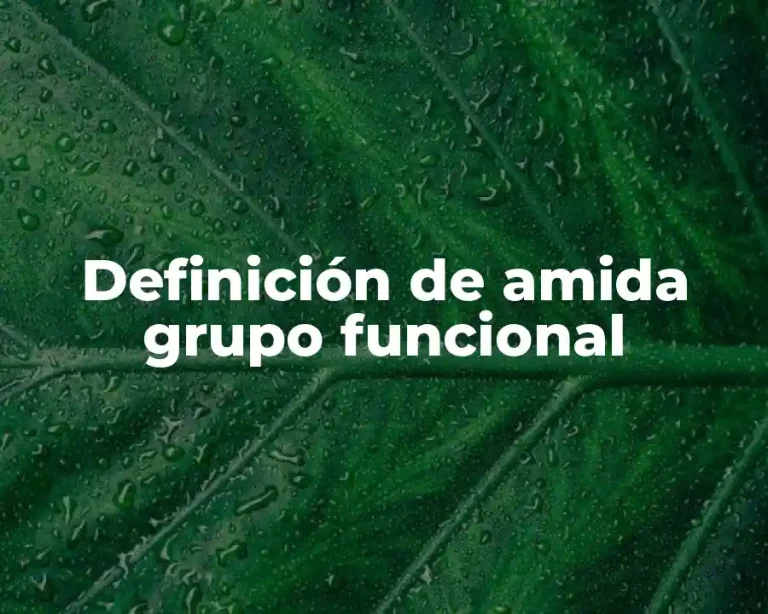 Definición de amida grupo funcional