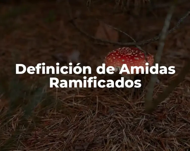Definición de Amidas Ramificados