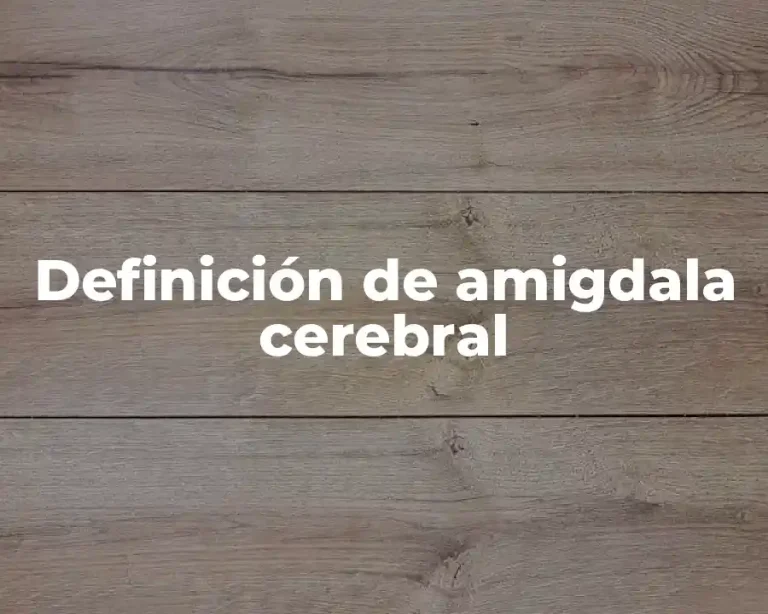 Definición de amigdala cerebral