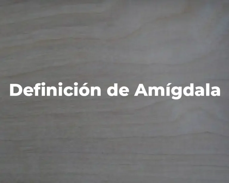Definición de Amígdala