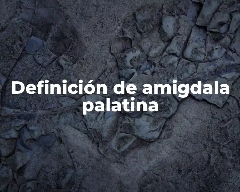 Definición de amigdala palatina