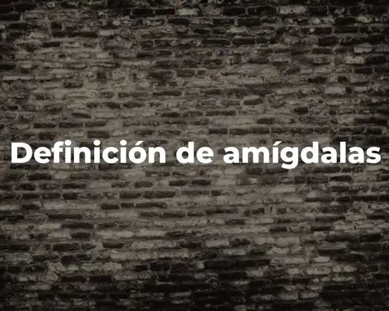 Definición de amígdalas