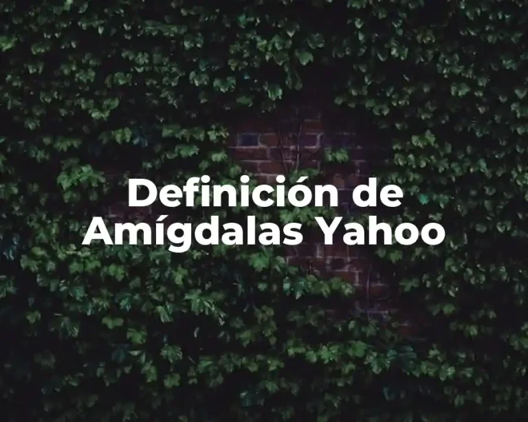 Definición de Amígdalas Yahoo