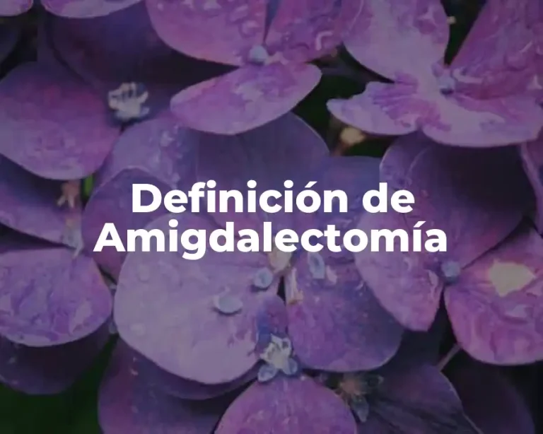Definición de Amigdalectomía