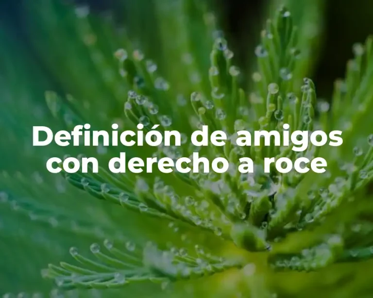 Definición de amigos con derecho a roce