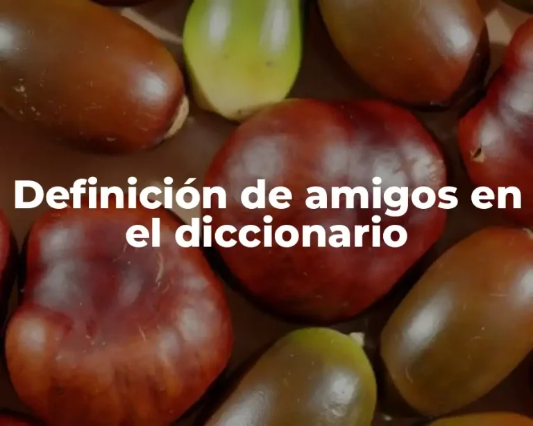 Definición de amigos en el diccionario