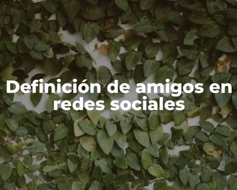 Definición de amigos en redes sociales