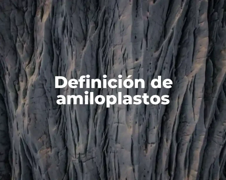 Definición de amiloplastos
