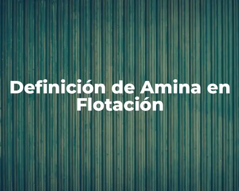 Definición de Amina en Flotación