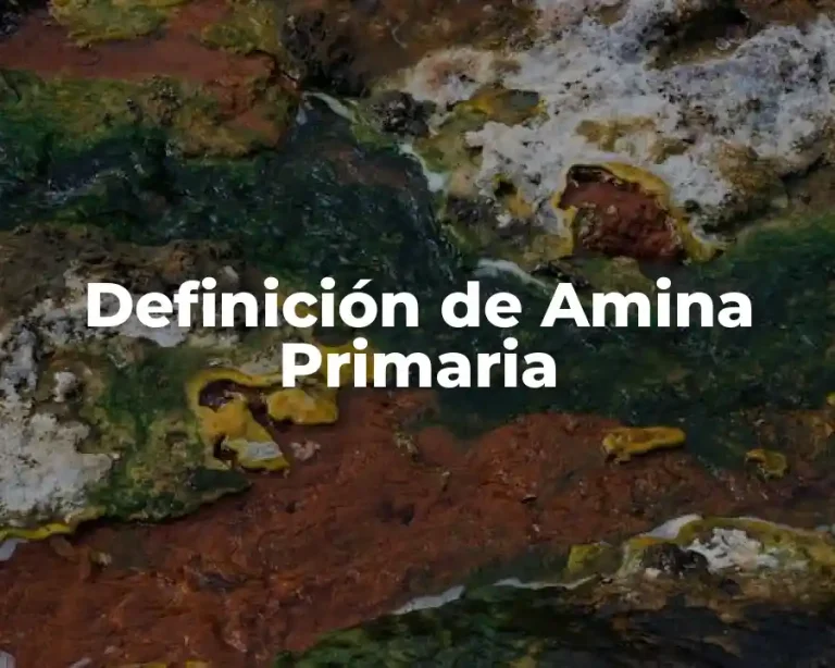 Definición de Amina Primaria