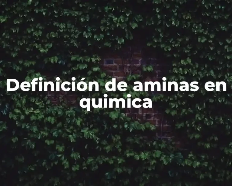Definición de aminas en quimica