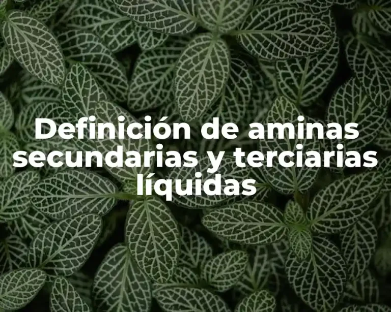 Definición de aminas secundarias y terciarias líquidas