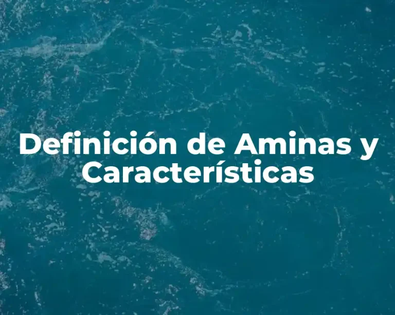 Definición de Aminas y Características