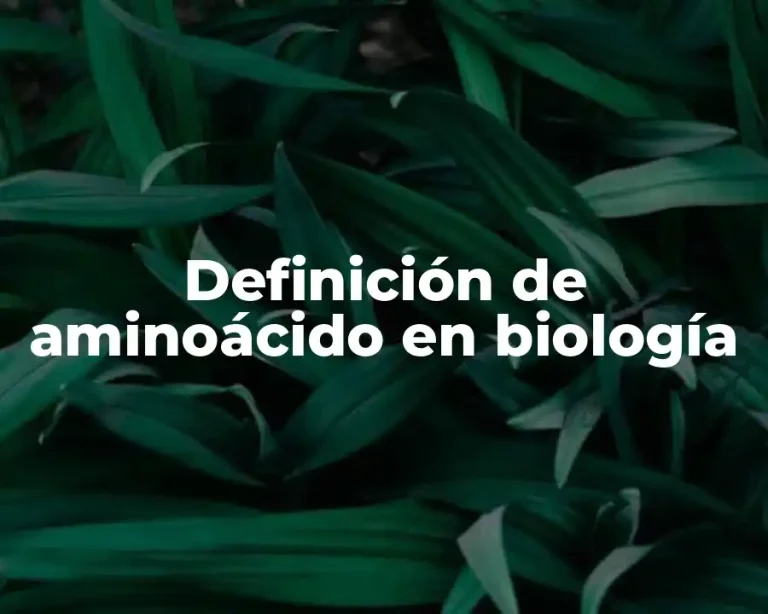 Definición de aminoácido en biología