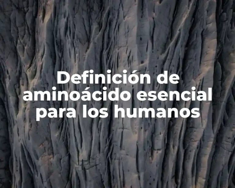 Definición de aminoácido esencial para los humanos