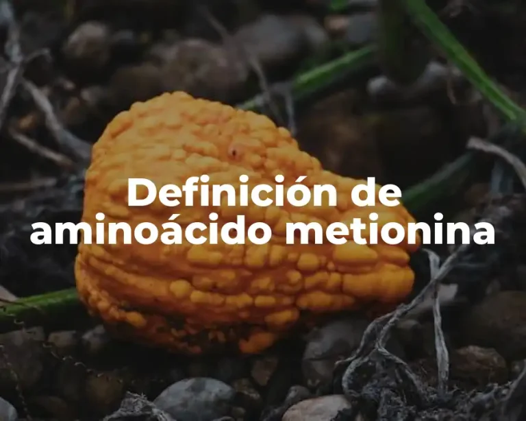 Definición de aminoácido metionina