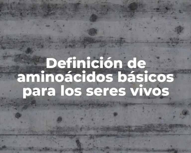 Definición de aminoácidos básicos para los seres vivos