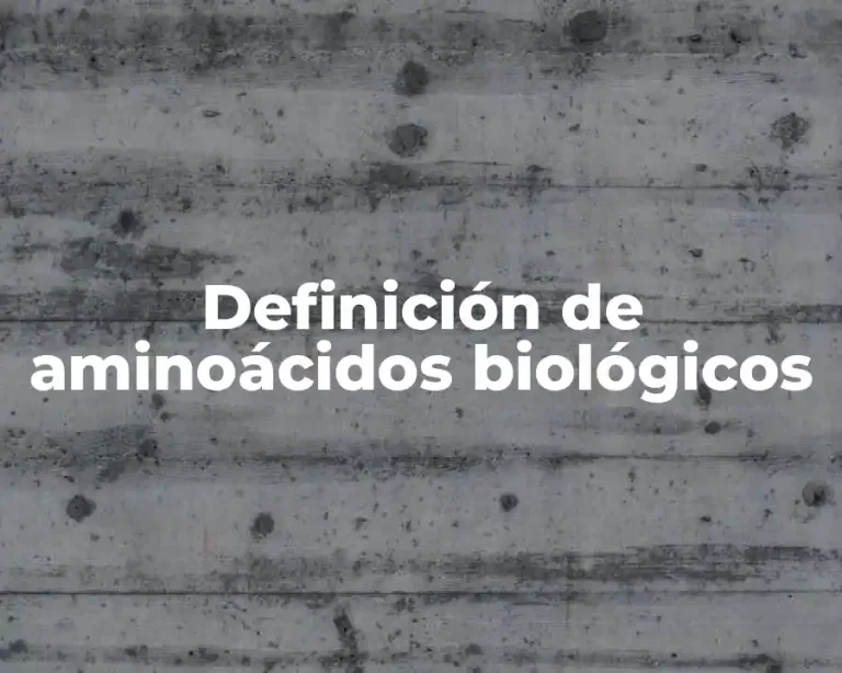 Definición de aminoácidos biológicos