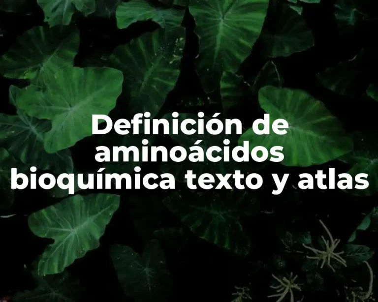 Definición de aminoácidos bioquímica texto y atlas