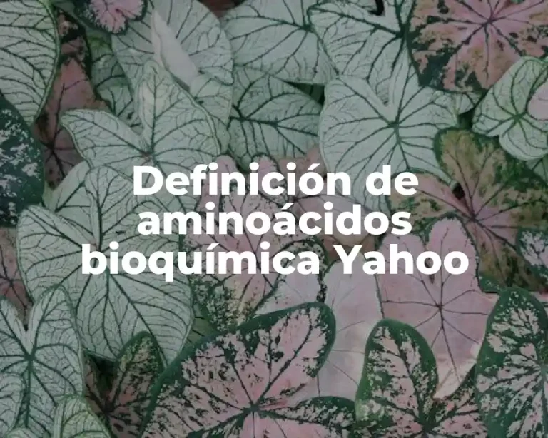 Definición de aminoácidos bioquímica Yahoo