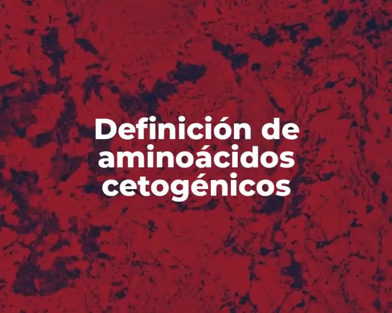 Definición de aminoácidos cetogénicos