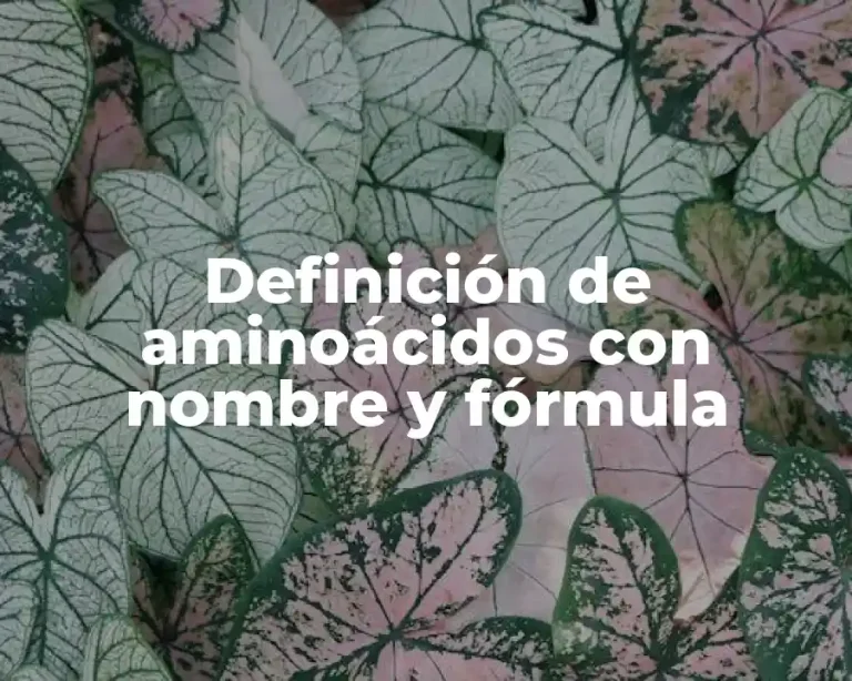 Definición de aminoácidos con nombre y fórmula