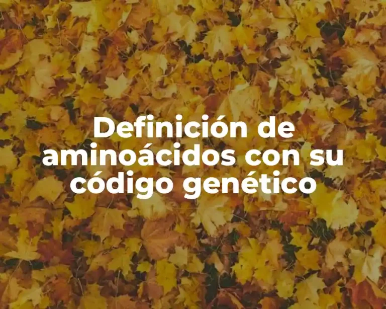 Definición de aminoácidos con su código genético