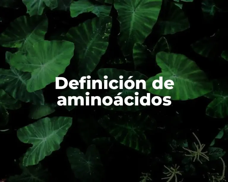 Definición de aminoácidos