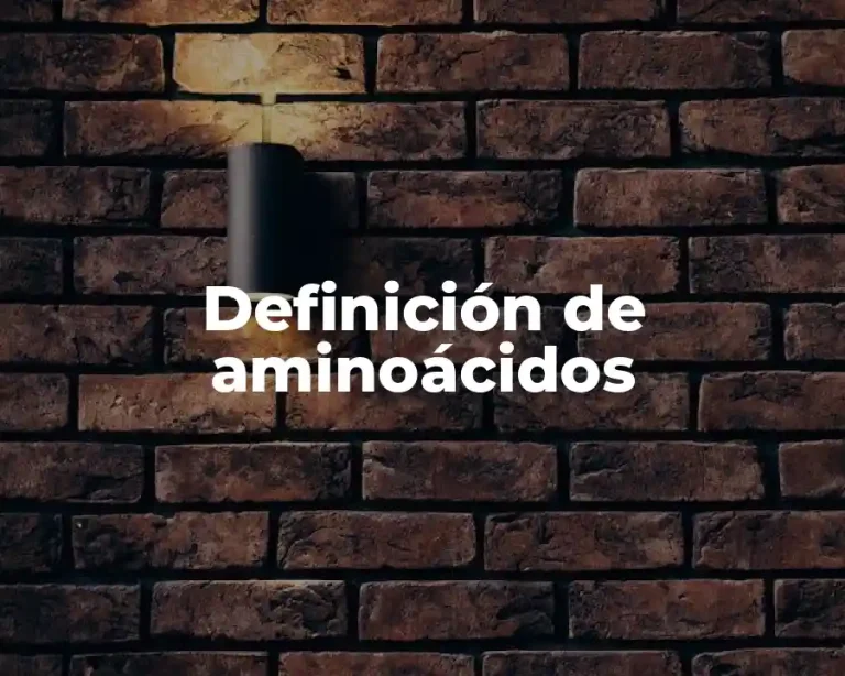 Definición de aminoácidos