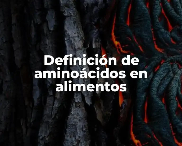 Definición de aminoácidos en alimentos