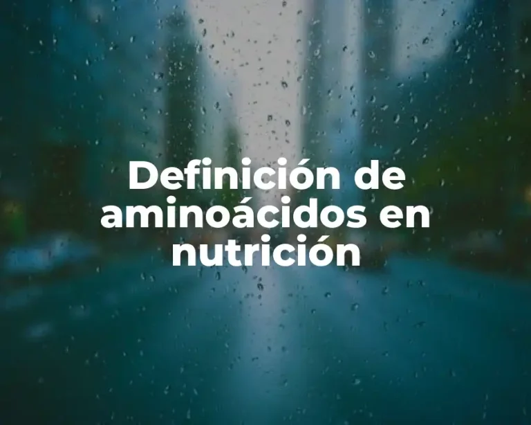 Definición de aminoácidos en nutrición