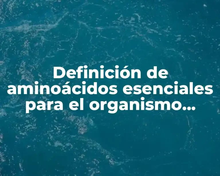 Definición de aminoácidos esenciales para el organismo humano