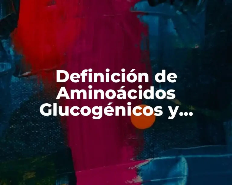 Definición de Aminoácidos Glucogénicos y Cetogénicos