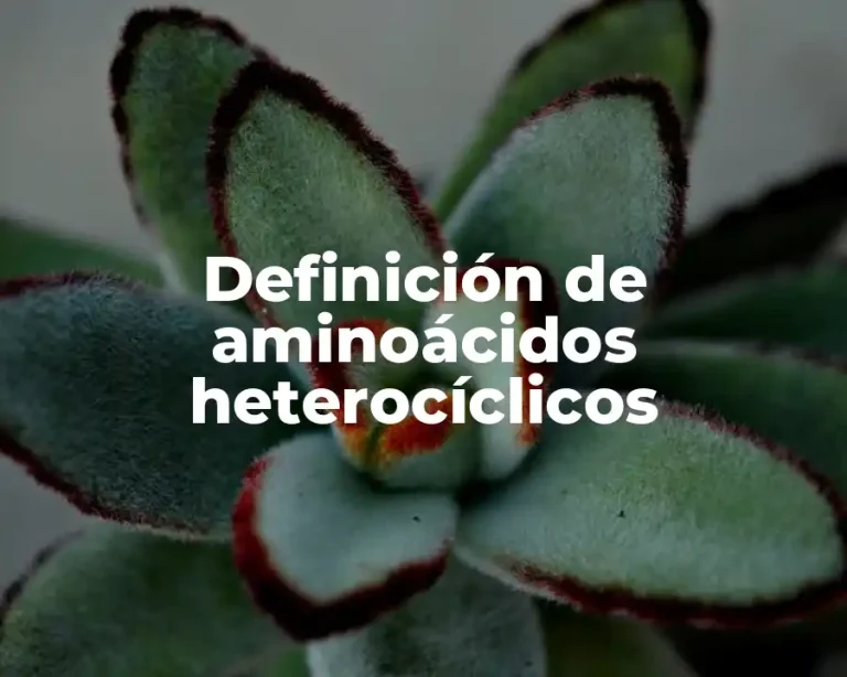Definición de aminoácidos heterocíclicos