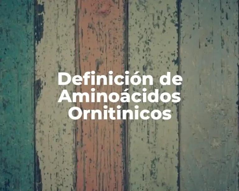 Definición de Aminoácidos Ornitinicos