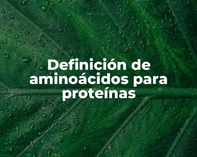 Definición de aminoácidos para proteínas