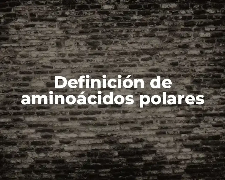 Definición de aminoácidos polares